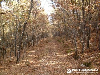 Monte La Umbría - Excursiones desde Madrid; grupos de senderismo madrid